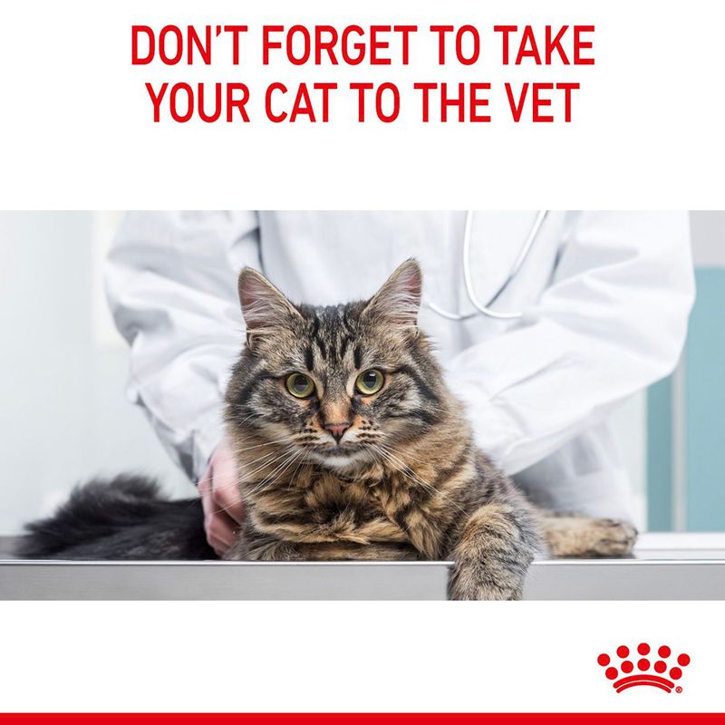 Royal Canin Urinary Care || Royal Canin Care Nutrition || view 11