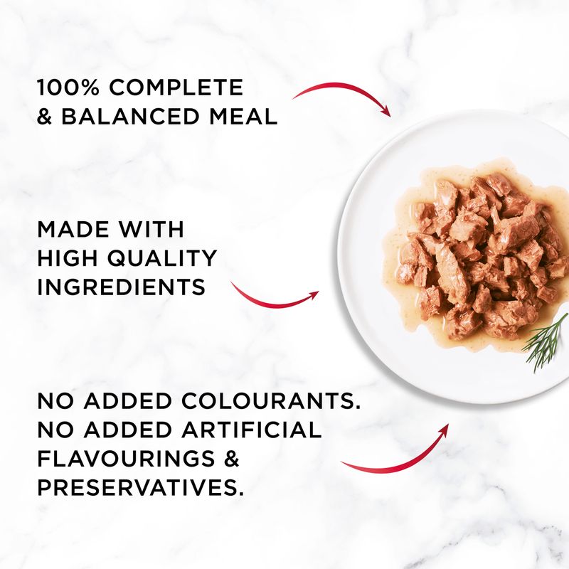 Gourmet Mon Petit || undefined || view 23