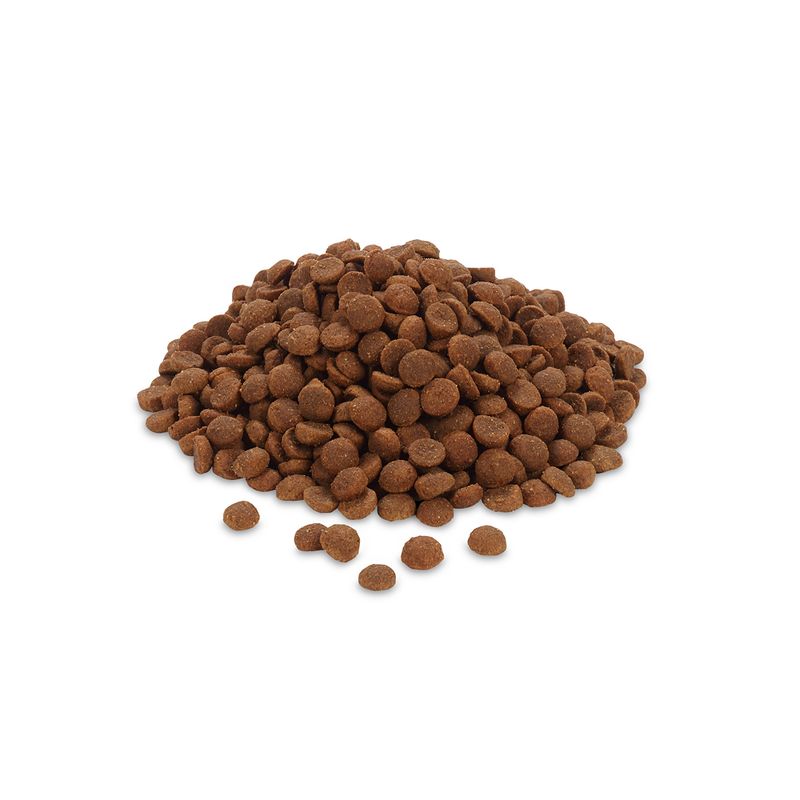 Feringa Adult Sterilised Salmon || Feringa || view 4