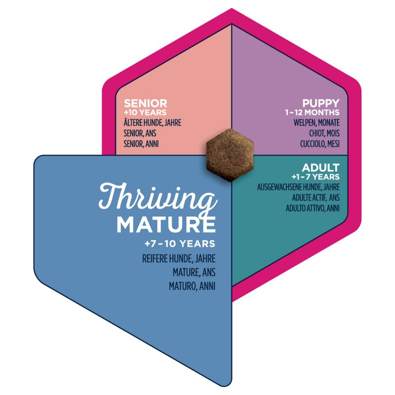 Eukanuba Thriving Mature Medium Breed Chicken || Eukanuba || view 8