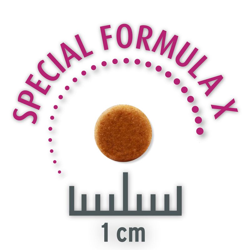 Concept for Life Economy Packs || undefined || view 24