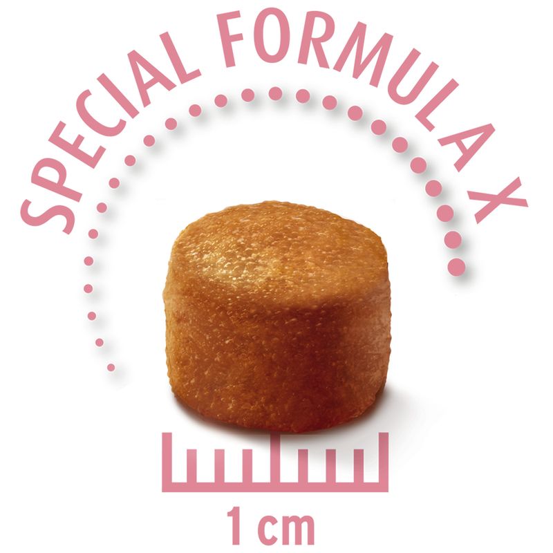 Concept for Life Economy Packs || undefined || view 10