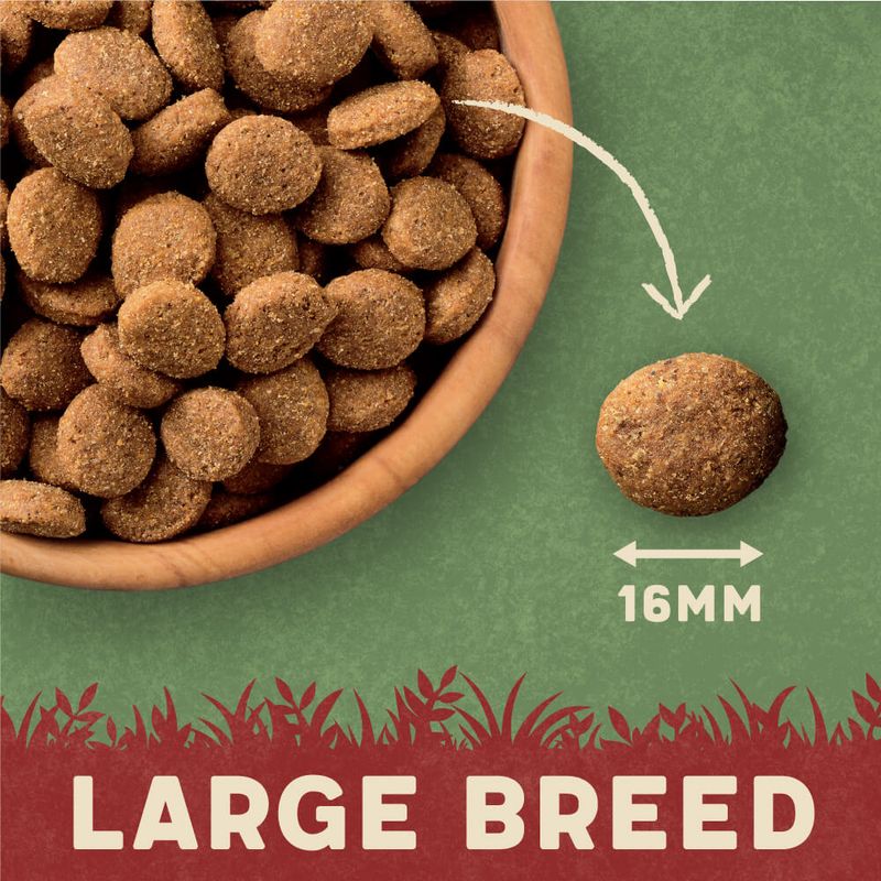 Harringtons Complete Large Adult Dog - Rich in Turkey & Rice || Harringtons || view 4