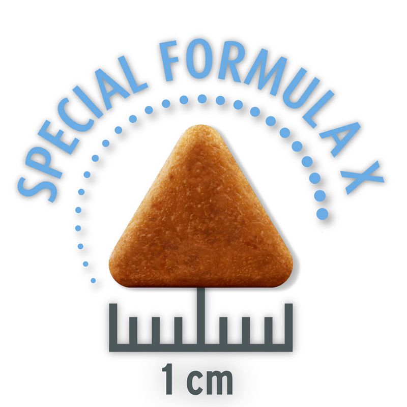 Concept for Life Economy Packs || undefined || view 18