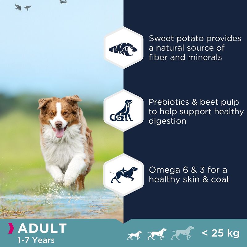 Eukanuba Grain Free Small & Medium Breed Adult - Lamb || Eukanuba || view 3