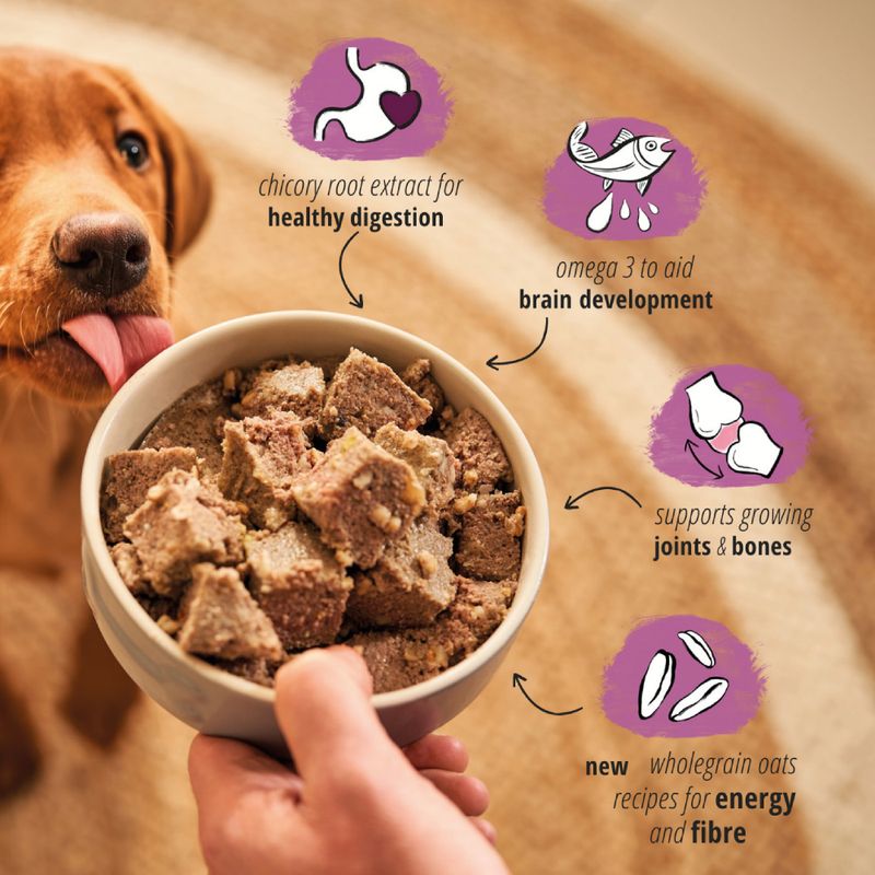Forthglade Complete Meal Grain Free Puppy Dog - Lamb & Chicken || Forthglade || view 4