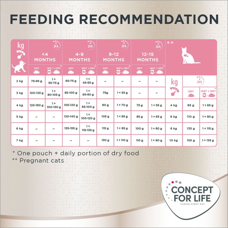 Concept for Life Maine Coon Kitten || Concept for Life || view 9