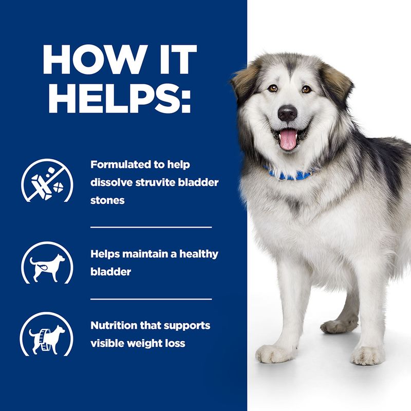 Hill’s Prescription Diet Canine c/d Multicare Urinary + Metabolic || Hill's Prescription Diet || view 6