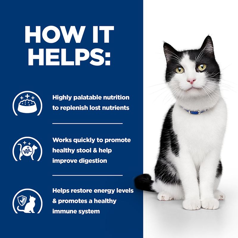 Hill's Prescription Diet Feline i/d Digestive Care - Salmon || undefined || view 6