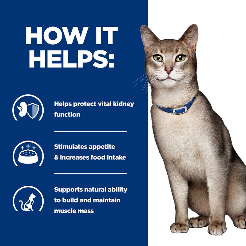 Hill's Prescription Diet Feline k/d Kidney Care || undefined || view 12