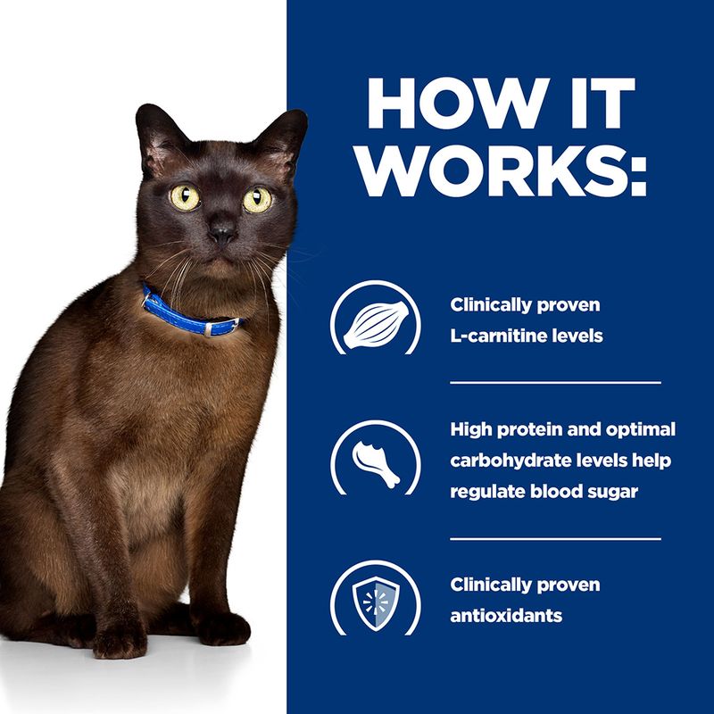 Hill's Prescription Diet Feline m/d Diabetes/Weight Management - Original || Hill's Prescription Diet || view 5