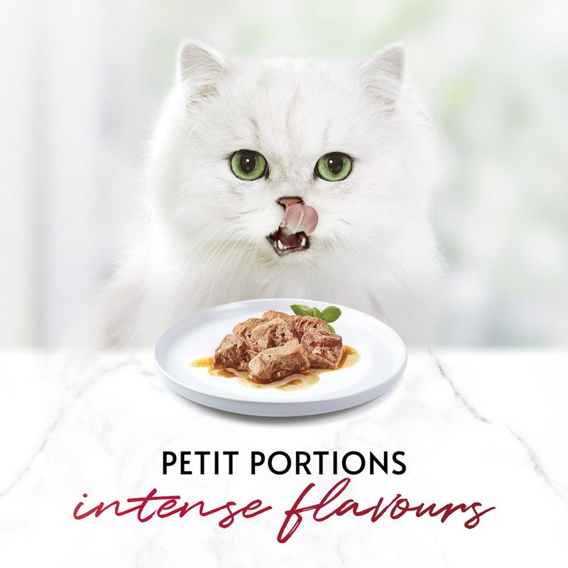 Gourmet Mon Petit || undefined || view 22