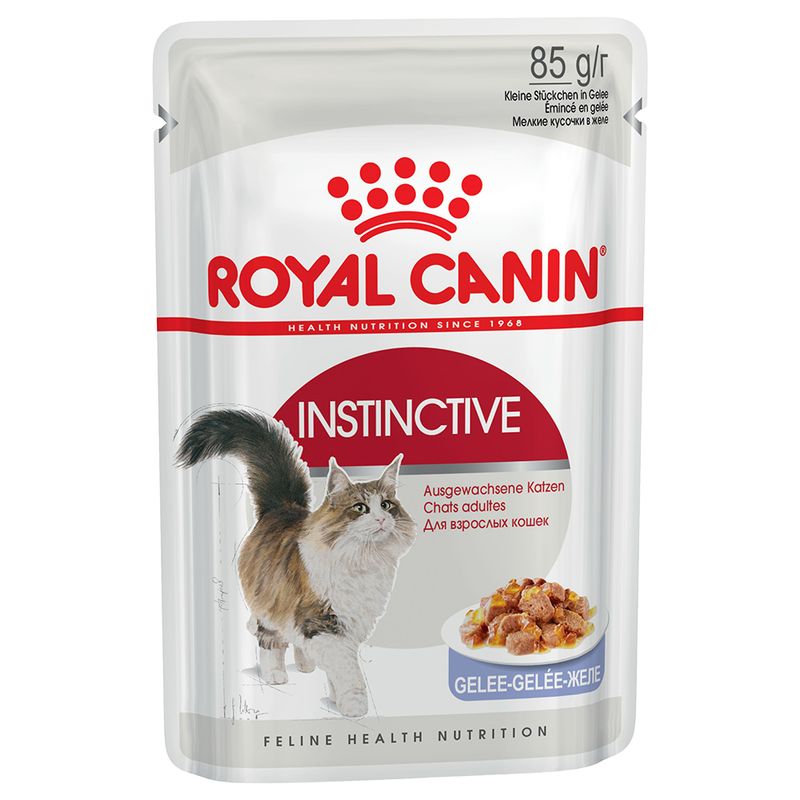 Royal Canin Adult Jelly & Gravy Mixed Pack 24 x 85g || undefined || view 2