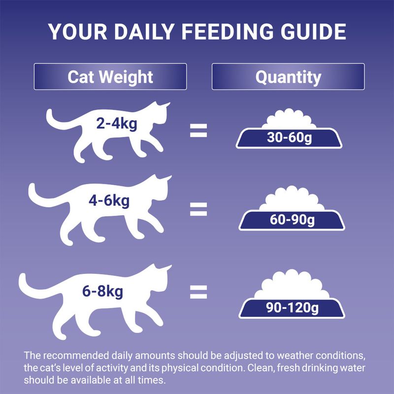 PURINA ONE Coat & Hairball Chicken & Whole Grains Dry Cat Food || Purina One || view 7