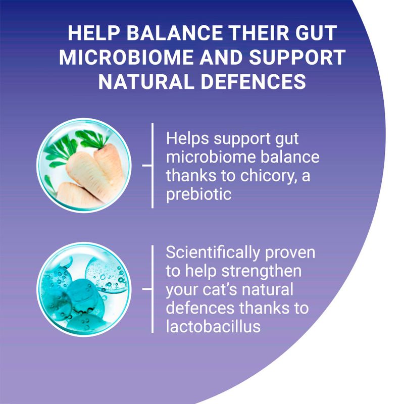 PURINA ONE Coat & Hairball Chicken & Whole Grains Dry Cat Food || Purina One || view 6