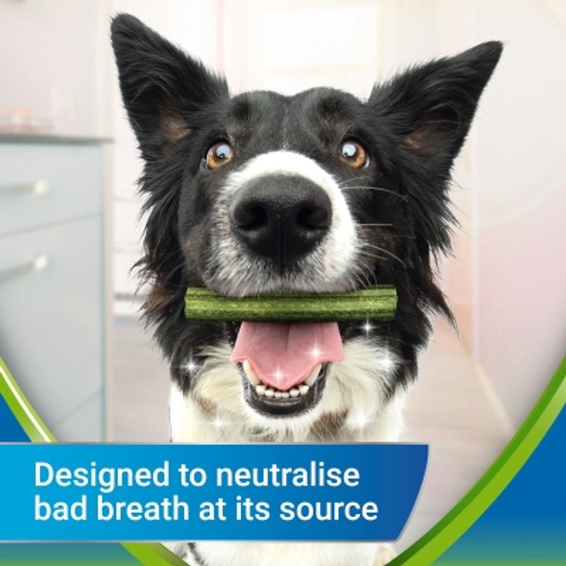 Purina Dentalife ActivFresh Daily Dental Care Snacks for Medium Breed Dogs || Dentalife || view 2
