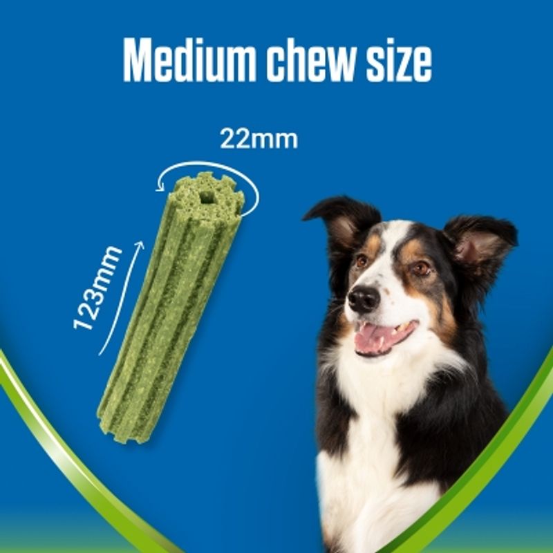 Purina Dentalife ActivFresh Daily Dental Care Snacks for Medium Breed Dogs || Dentalife || view 7