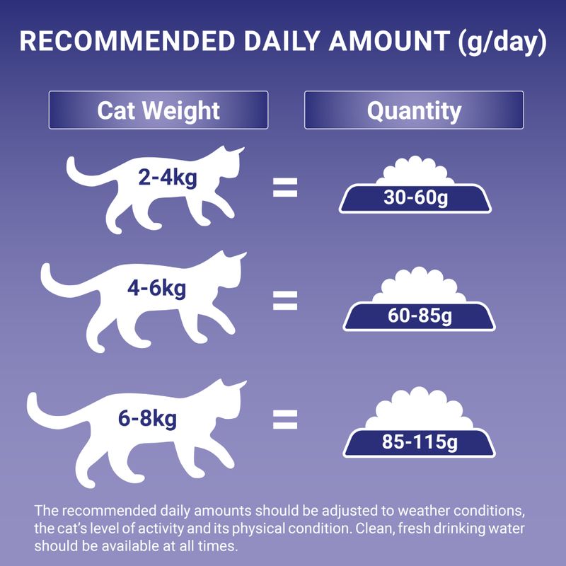 PURINA ONE Adult Chicken & Whole Grains Dry Cat Food || Purina One || view 6