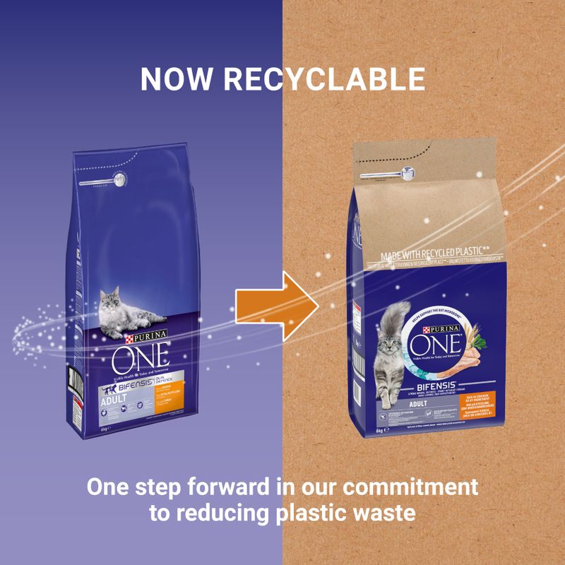 PURINA ONE Adult Chicken & Whole Grains Dry Cat Food || Purina One || view 7