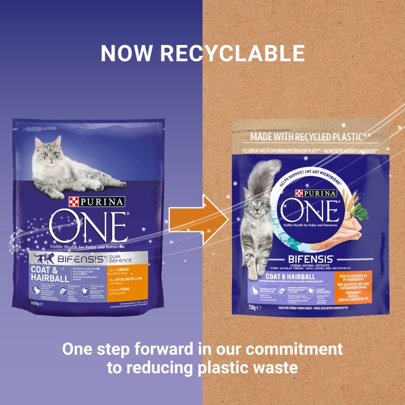 PURINA ONE Coat & Hairball Chicken & Whole Grains Dry Cat Food || Purina One || view 8