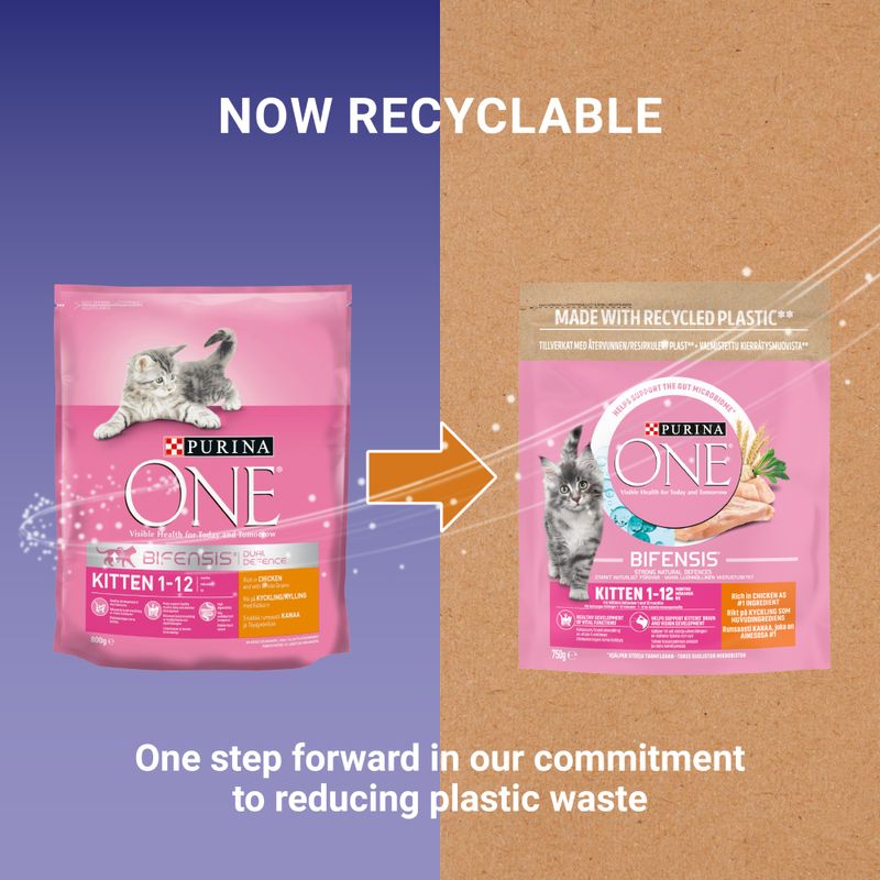 PURINA ONE Junior / Kitten Chicken & Whole Grains Dry Cat Food || Purina One || view 8