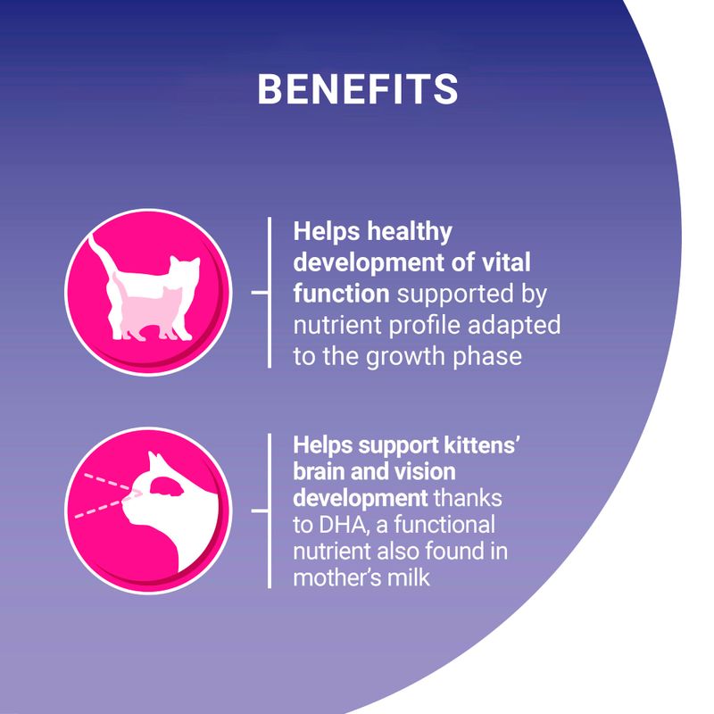 PURINA ONE Light Chicken & Wheat Dry Cat Food || Purina One || view 3