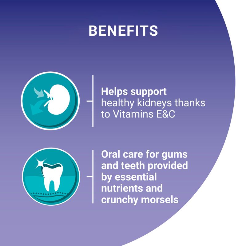 PURINA ONE Senior 7+ Chicken & Whole Grains Dry Cat Food || Purina One || view 5