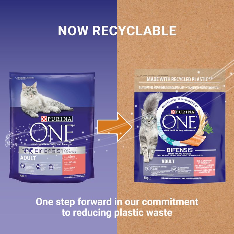 PURINA ONE Adult Salmon & Whole Grains Dry Cat Food || Purina One || view 8