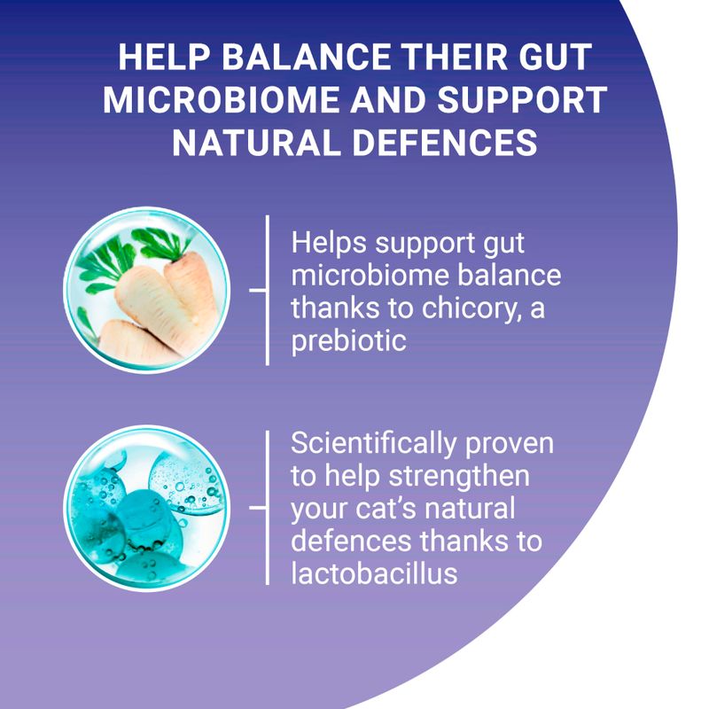 PURINA ONE Adult Salmon & Whole Grains Dry Cat Food || Purina One || view 6