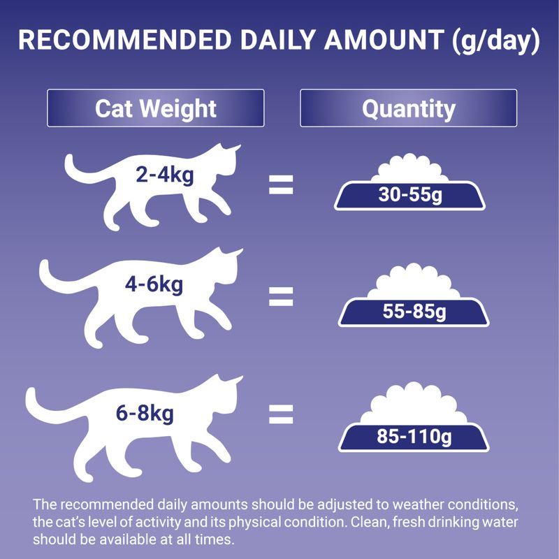 PURINA ONE Sensitive Turkey & Rice Dry Cat Food || Purina One || view 8