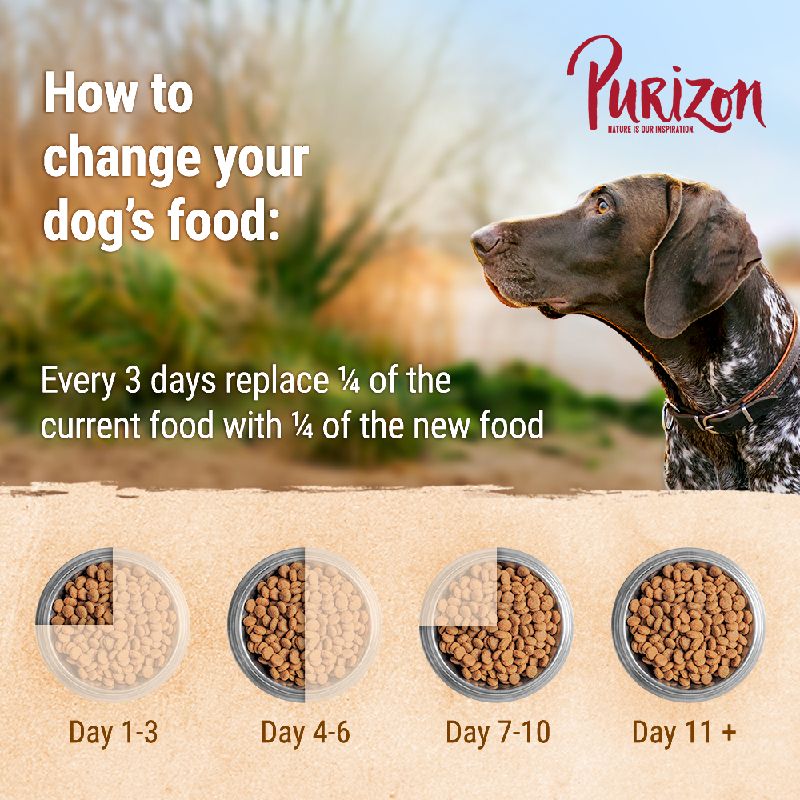 Purizon Original Large Breed Dog – Grain-Free Chicken & Fish || Purizon || view 8