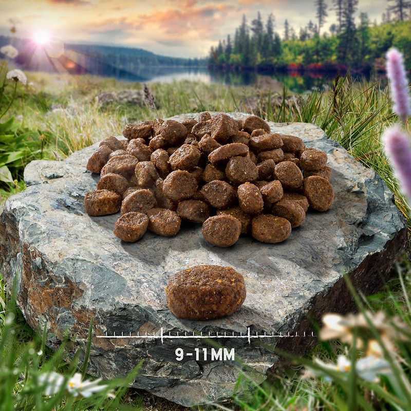 Purizon Grain-Free Dry Cat Food Economy Pack || Purizon || view 7