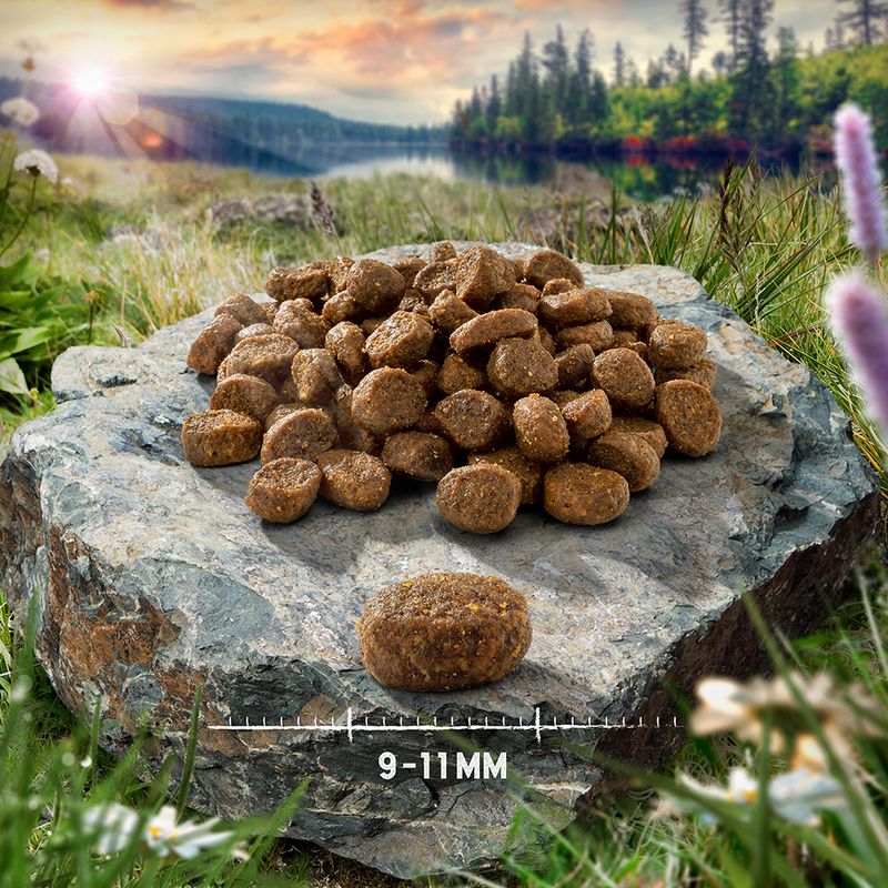 Purizon Grain-Free Dry Cat Food Economy Pack || Purizon || view 19