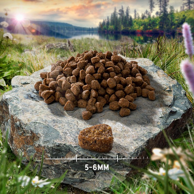 Purizon Grain-Free Dry Cat Food Economy Pack || Purizon || view 25