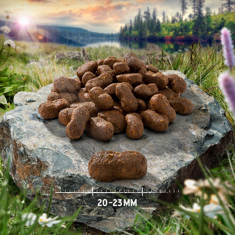 Purizon Grain-Free Dry Cat Food Economy Pack || Purizon || view 13