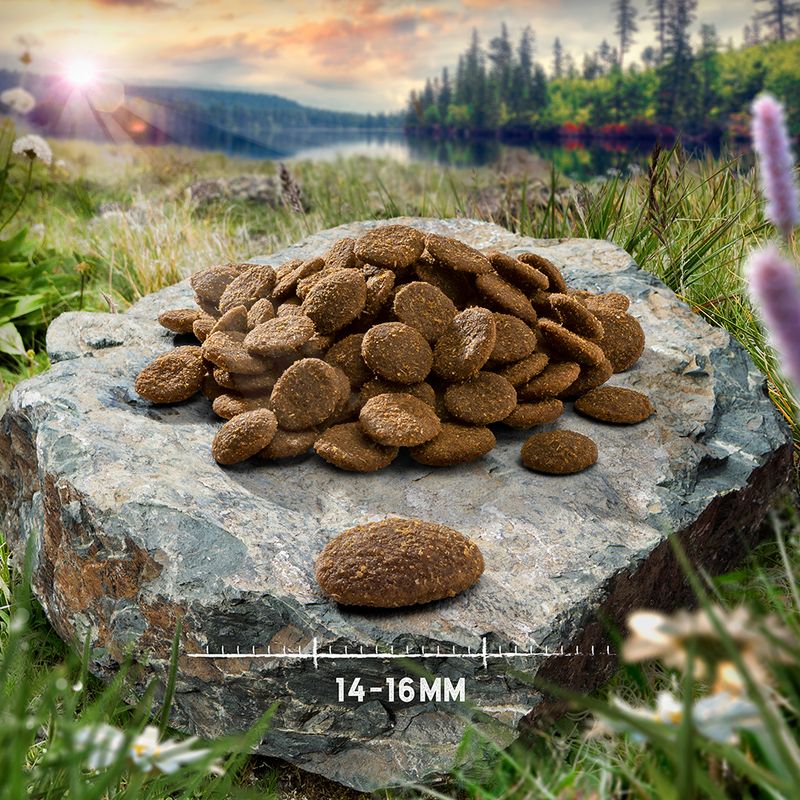 Purizon Grain-Free 80:20:0 Economy Packs 2 x 12kg || Purizon || view 3