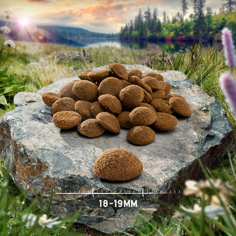 Purizon Original Large Breed Dog – Grain-Free Chicken & Fish || Purizon || view 5