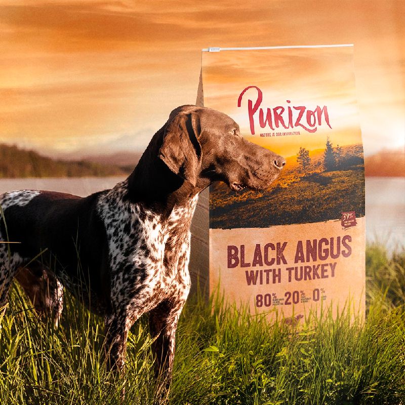 Purizon Original Black Angus Beef with Turkey Adult – Grain-free || Purizon || view 10