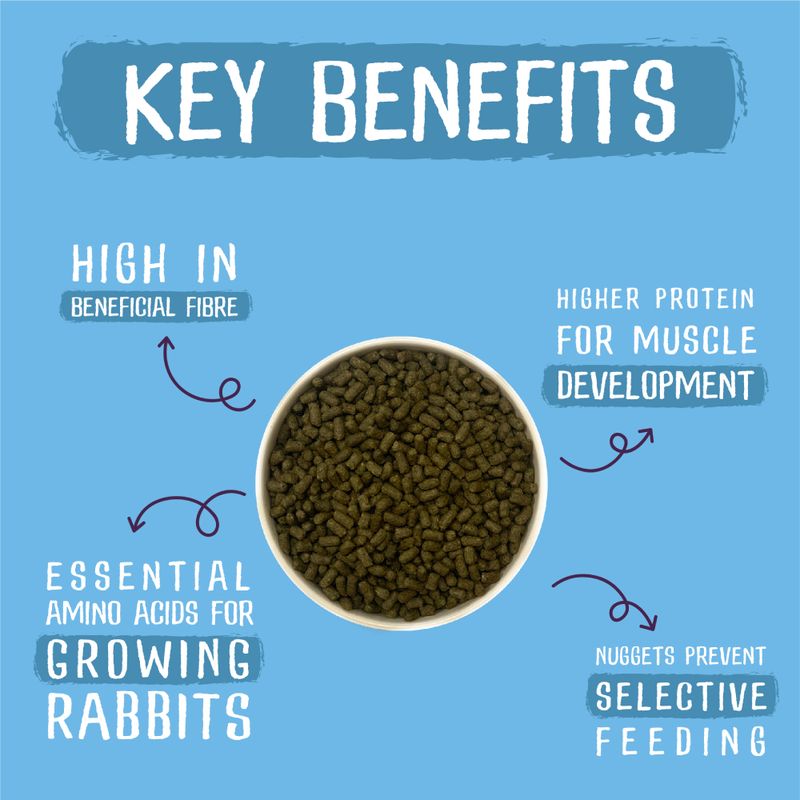 Burgess Excel Junior & Dwarf Rabbit Nuggets with Mint || undefined || view 4