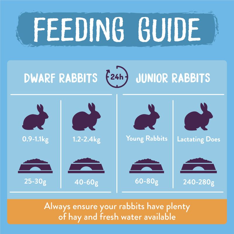 Burgess Excel Junior & Dwarf Rabbit Nuggets with Mint || undefined || view 5