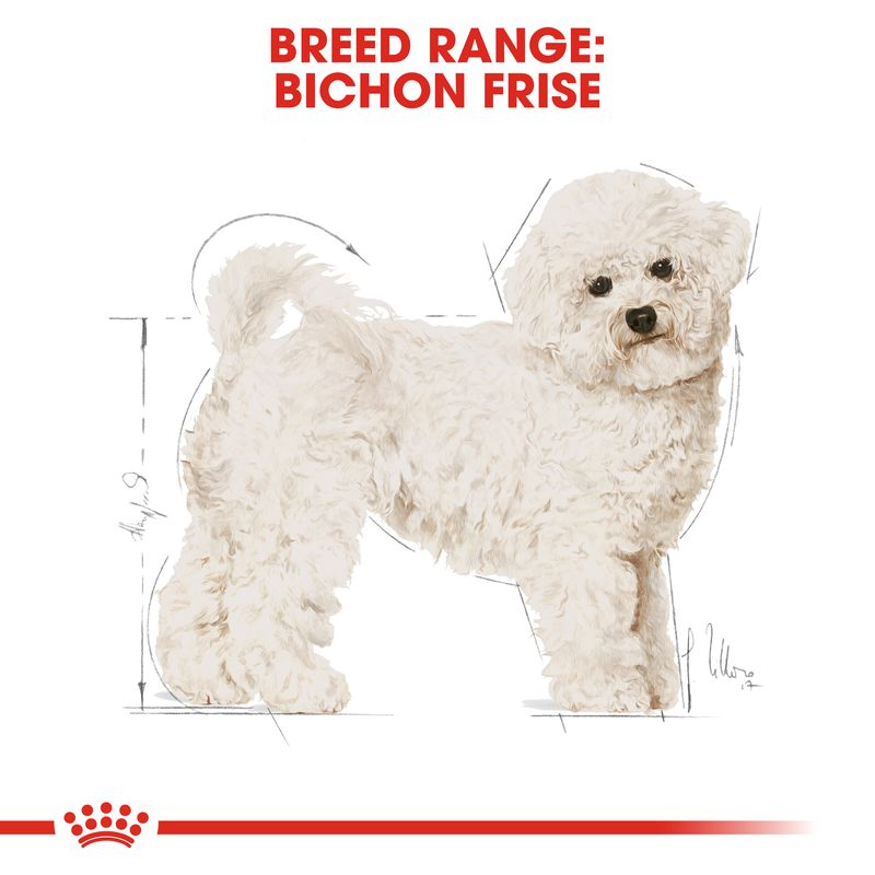 Royal Canin Bichon Frise Adult || Royal Canin Breed || view 5