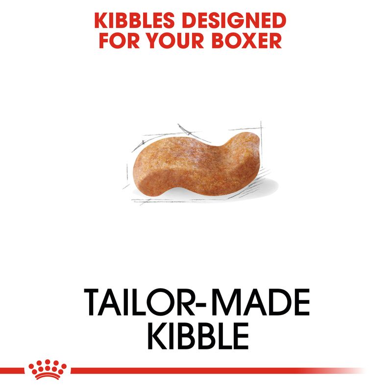 Royal Canin Boxer Adult || Royal Canin Breed || view 5