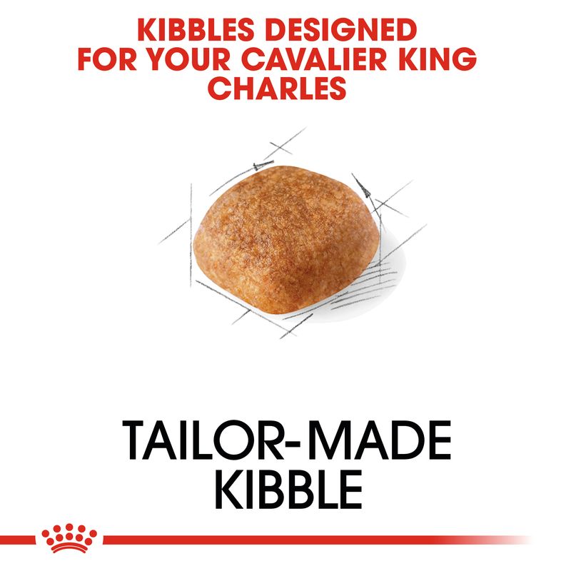 Royal Canin Cavalier King Charles Adult || Royal Canin Breed || view 3