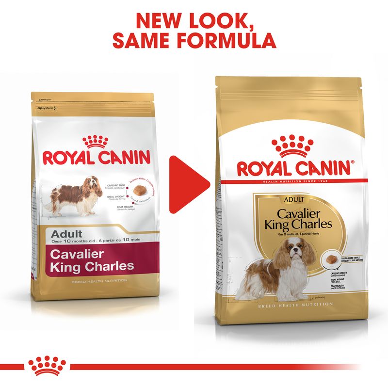 Royal Canin Cavalier King Charles Adult || Royal Canin Breed || view 8