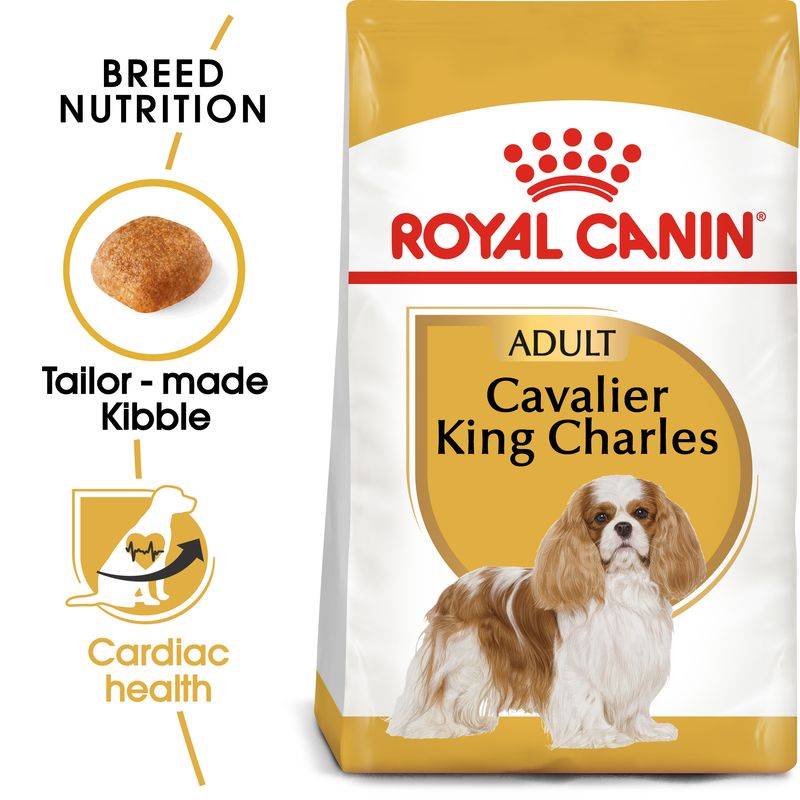 Royal Canin Cavalier King Charles Adult || Royal Canin Breed || view 1