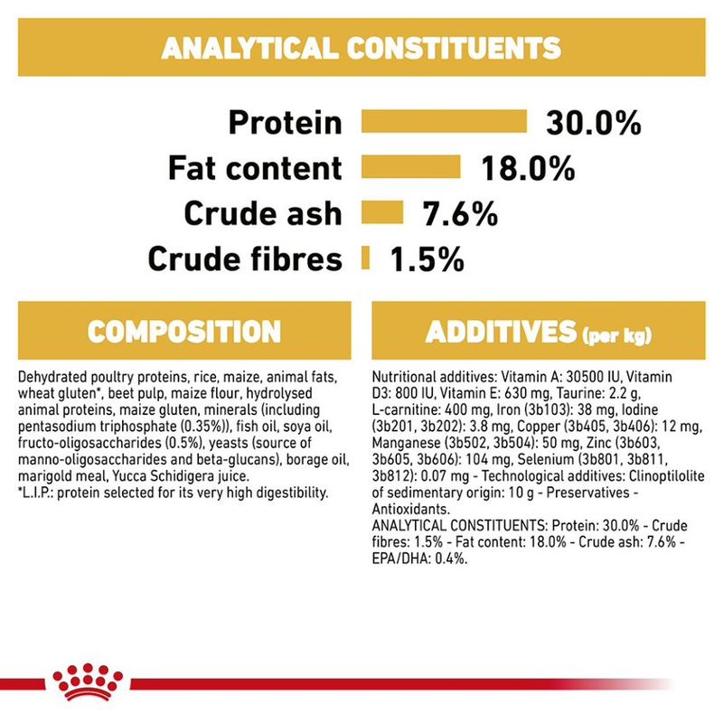 Royal Canin Cavalier King Charles Puppy || Royal Canin Breed || view 4