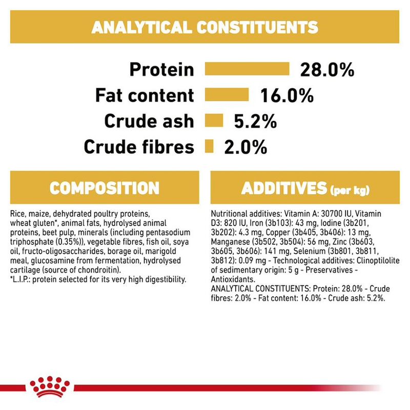 Royal Canin Chihuahua Adult || Royal Canin Breed || view 4