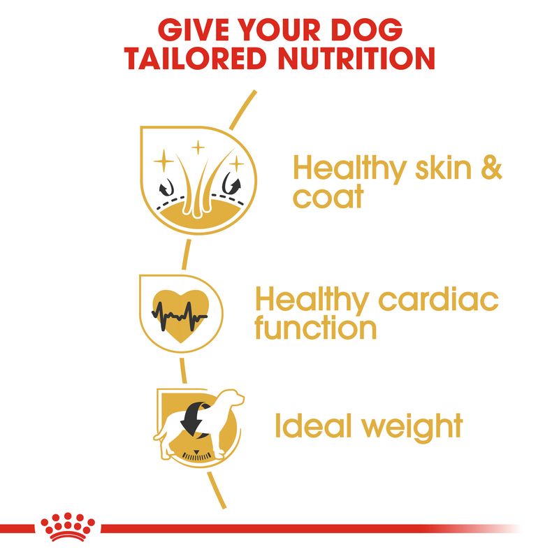 Royal Canin Golden Retriever Adult || Royal Canin Breed || view 5