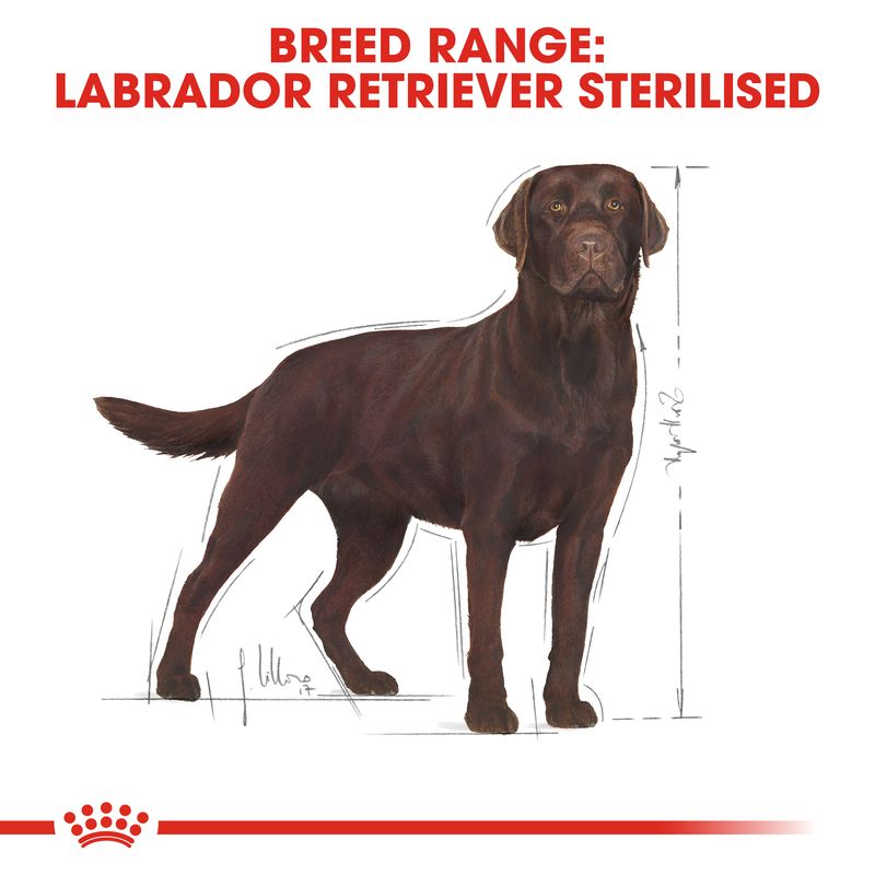 Royal Canin Labrador Retriever Adult Sterilised || Royal Canin Breed || view 5