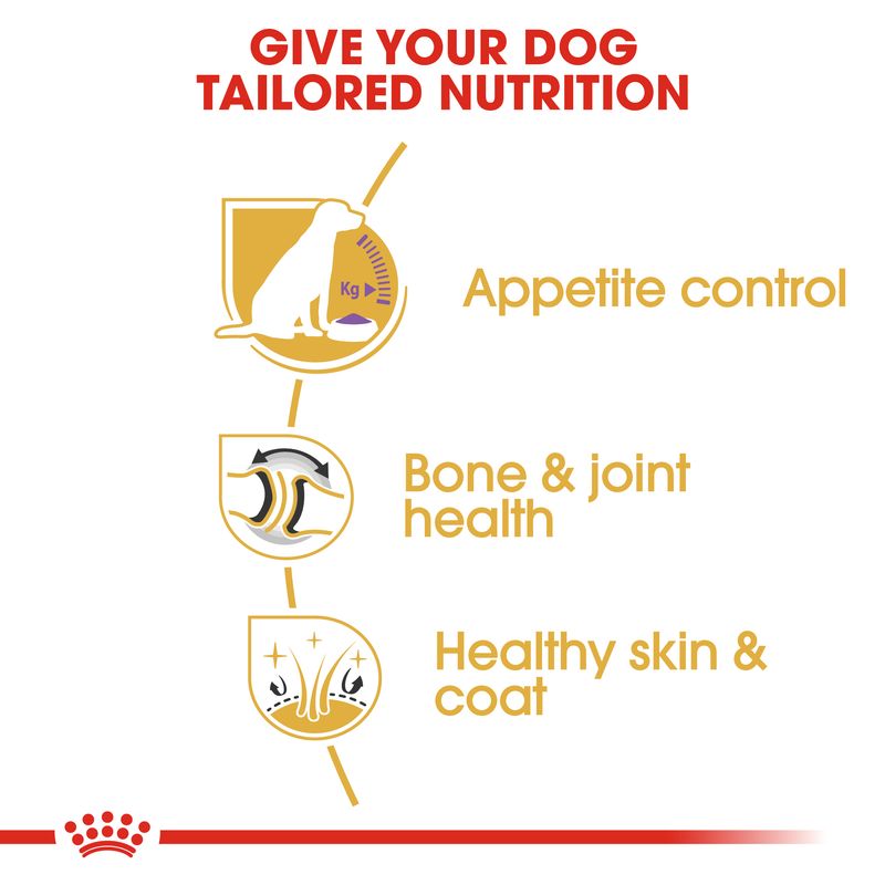 Royal Canin Labrador Retriever Adult Sterilised || Royal Canin Breed || view 4